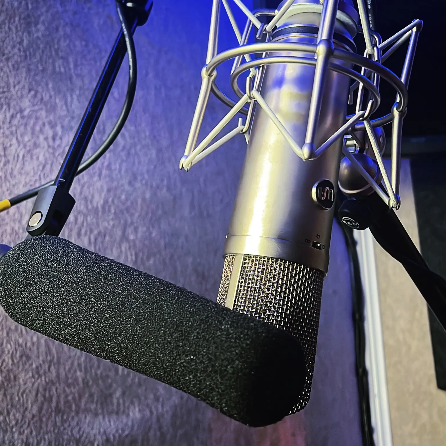 Professional studio microphone setup for ADR and voiceover at Somni Studios.