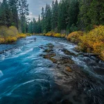 Colorful autumn trees surrounding Wizard Falls on the Metolius River in Oregon