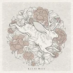 Minimalist floral illustration with a jackalope surrounded by flowers on the “Let It Rain” album cover.