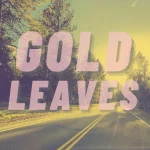 The Ornament by the indie folk music project Gold Leaves Album Cover